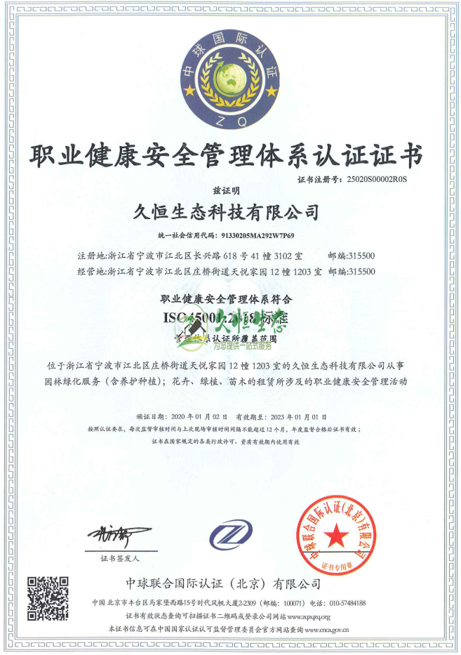 杭州临安职业健康安全管理体系ISO45001证书